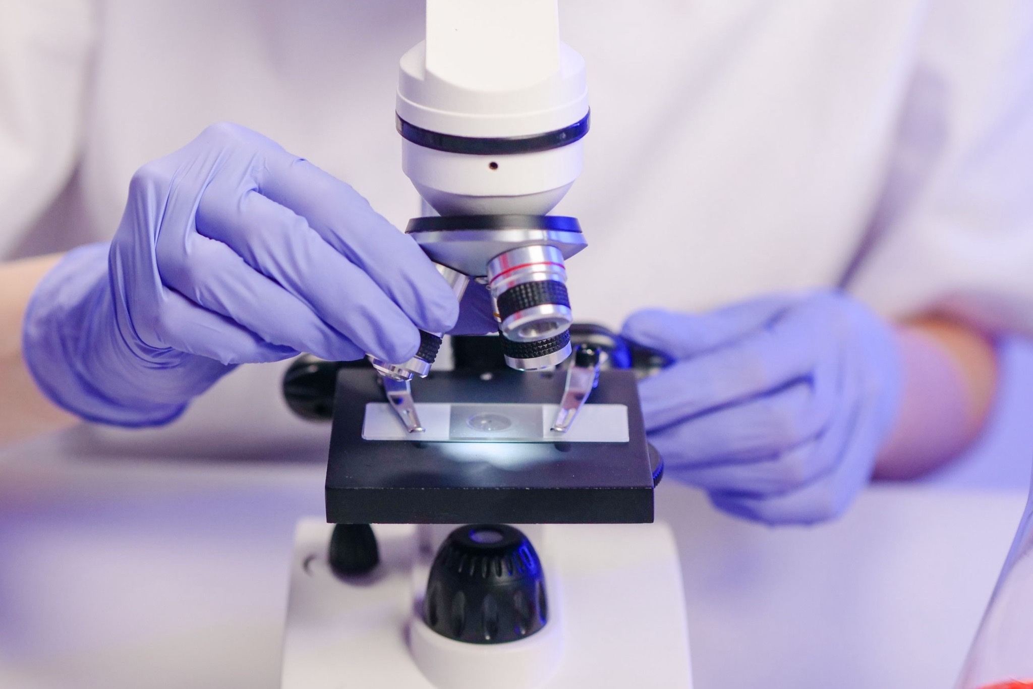 Gloved hands adjusting a glass slide under a laboratory microscope